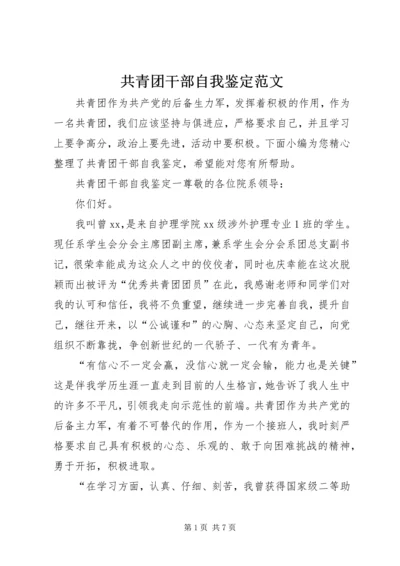 共青团干部自我鉴定范文.docx