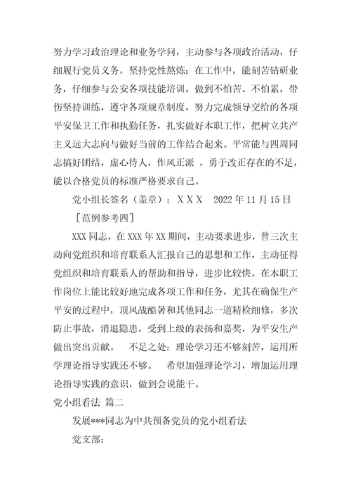 发展对象党小组意见