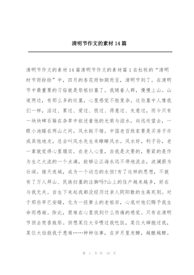 清明节作文的素材14篇.docx