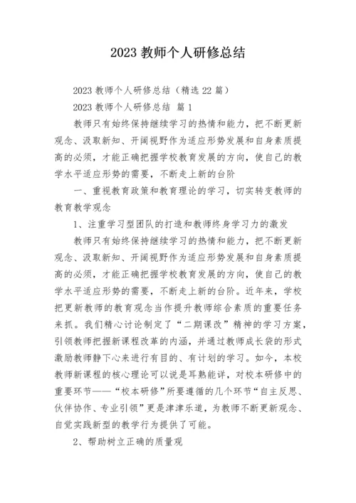 2023教师个人研修总结.docx