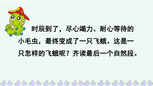 22小毛虫  课件