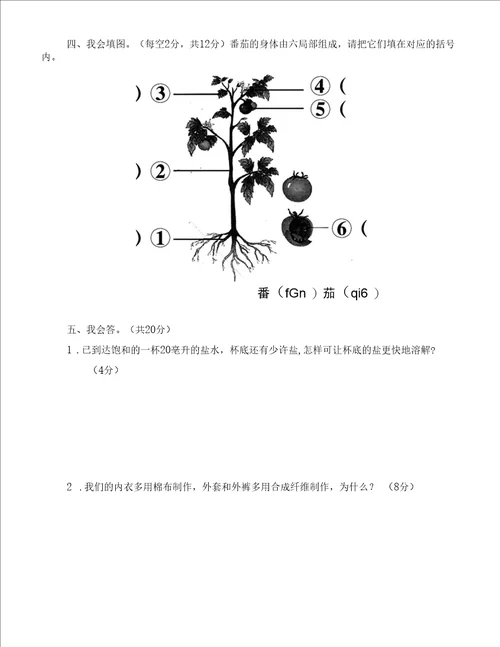 新湘科版三年级科学下册期末测试试卷含答案