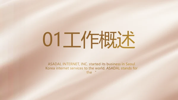 大气医美微整形宣传工作总结PPT