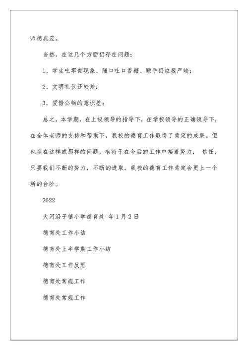 德育处工作小结