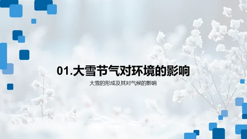 大雪节气与环境