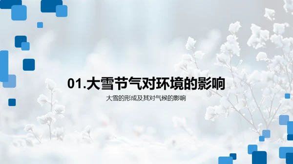 大雪节气与环境