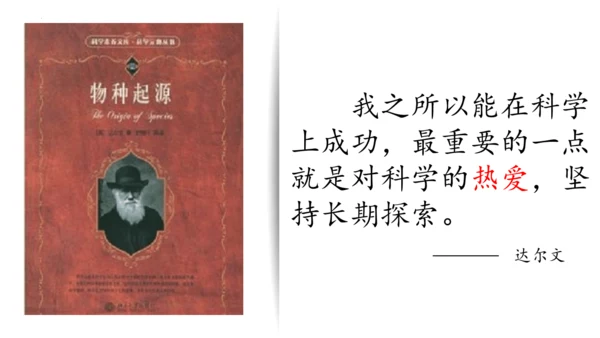 第16课《麻雀》课件