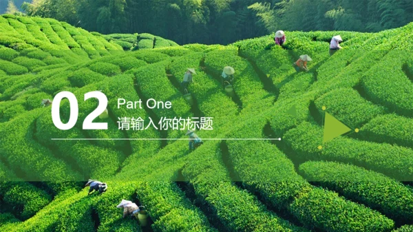 茶道茶文化中国风通用PPT模版