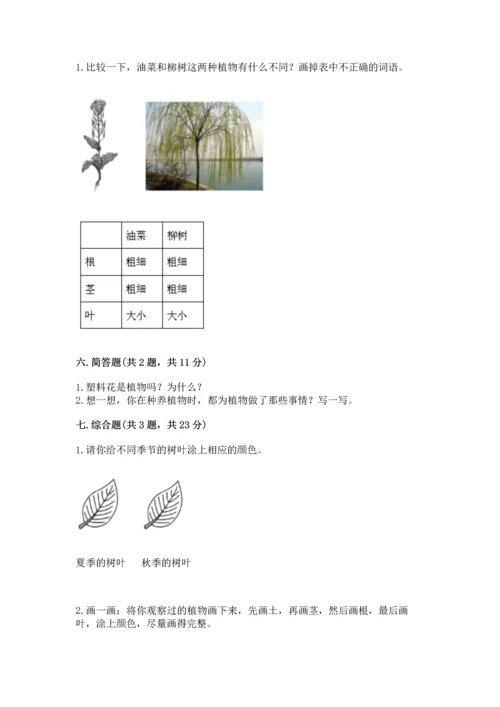 教科版科学一年级上册第一单元《植物》测试卷附完整答案【典优】.docx