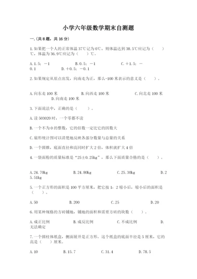 小学六年级数学期末自测题带答案（达标题）.docx