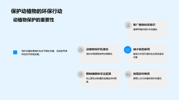 春分节气与环保实践