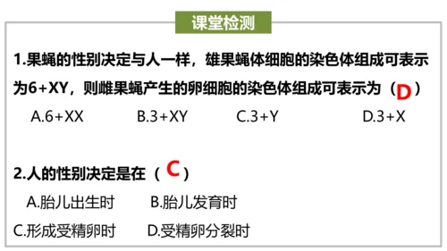 八下 第七单元复习课件(共58张PPT)