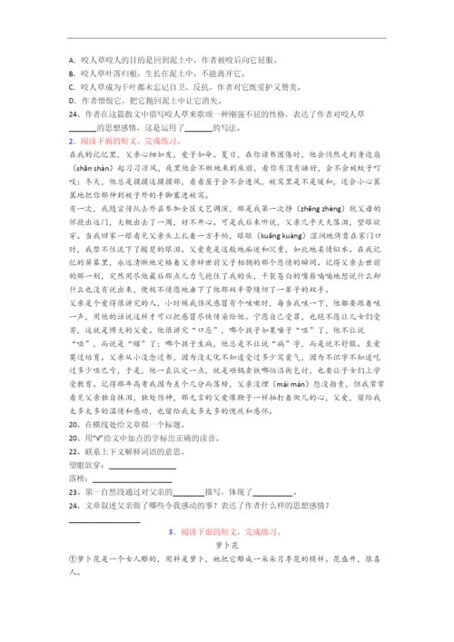 语文小学六年级阅读理解复习试题测试题(含答案).docx