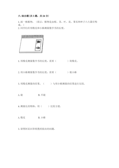 教科版一年级上册科学期末测试卷附参考答案【轻巧夺冠】.docx