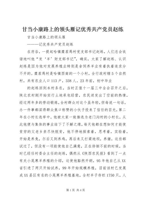 甘当小康路上的领头雁记优秀共产党员赵练.docx