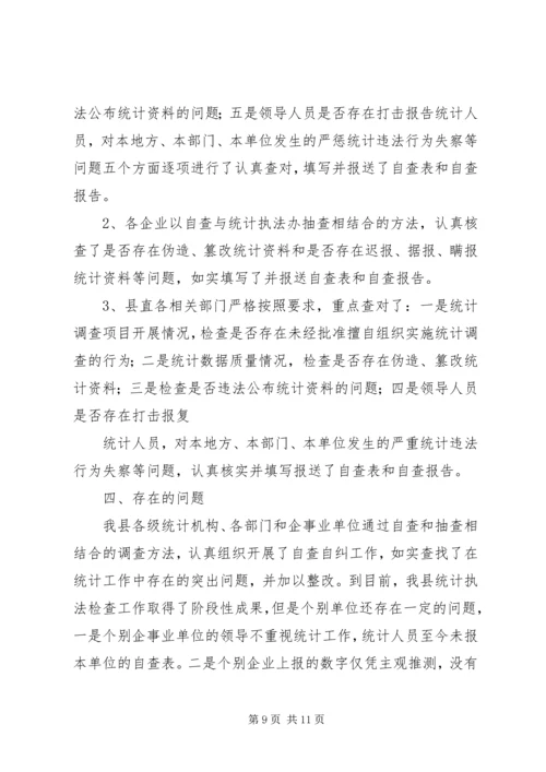 县统计执法检查自查报告.docx