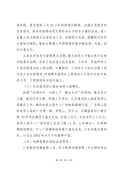 乡镇国土局上半年工作总结及下半年工作计划.docx
