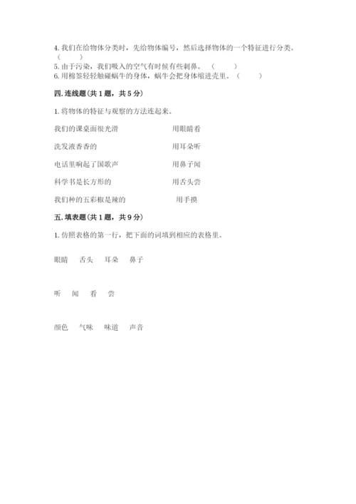 教科版一年级下册科学期末测试卷【轻巧夺冠】.docx