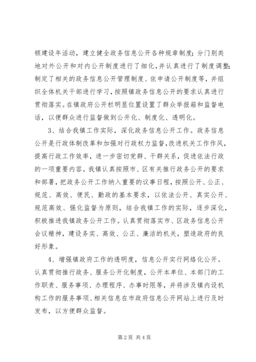 乡镇政务信息公开工作汇报.docx