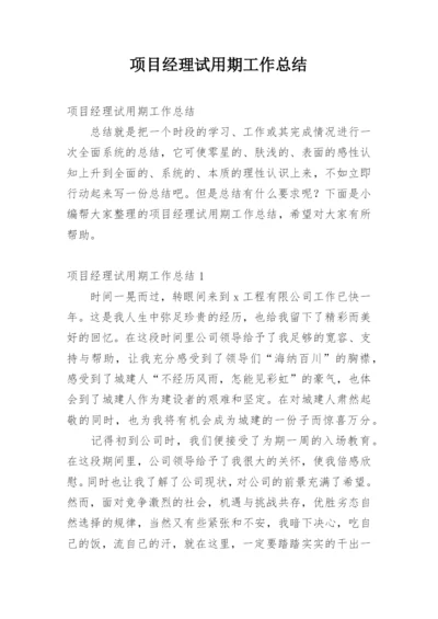 项目经理试用期工作总结.docx