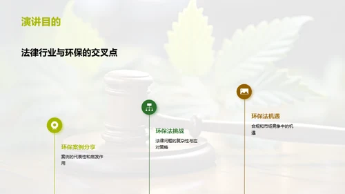 环保法律：挑战与机遇