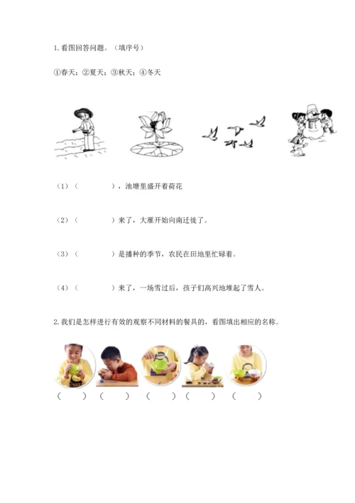 教科版科学二年级上册《期末测试卷》（易错题）.docx