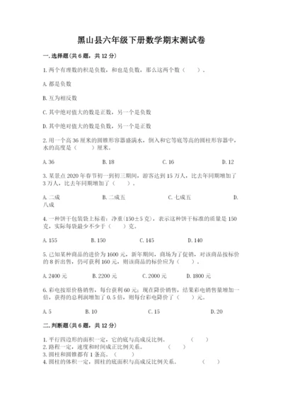 黑山县六年级下册数学期末测试卷（名师系列）.docx