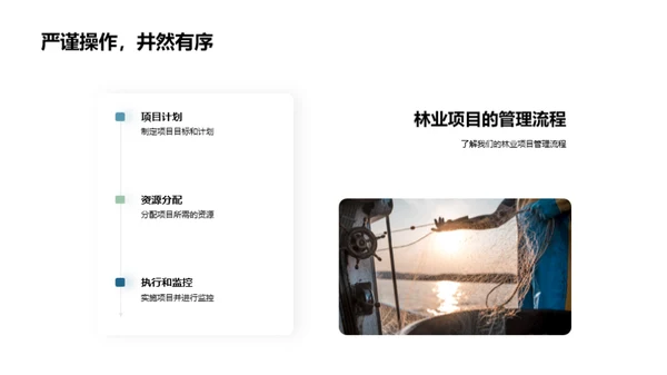 林业进步路
