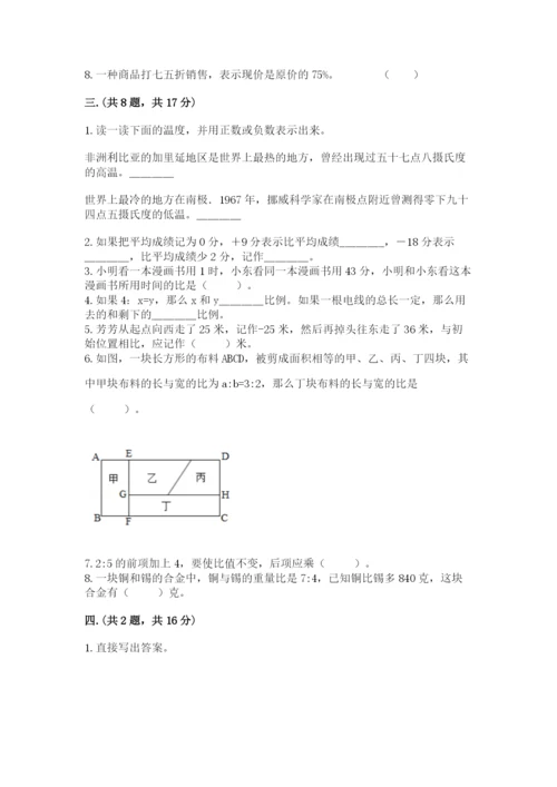 河南省平顶山市六年级下册数学期末测试卷（满分必刷）.docx