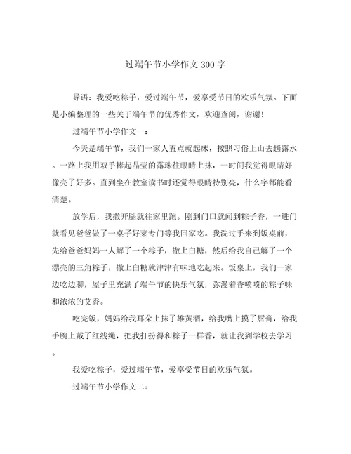 过端午节小学作文300字