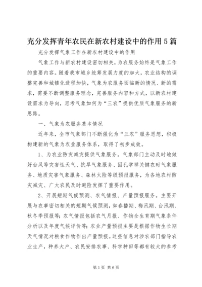 充分发挥青年农民在新农村建设中的作用5篇 (2).docx