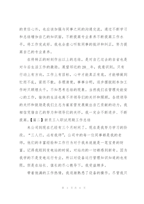 新员工入职试用期工作总结.docx