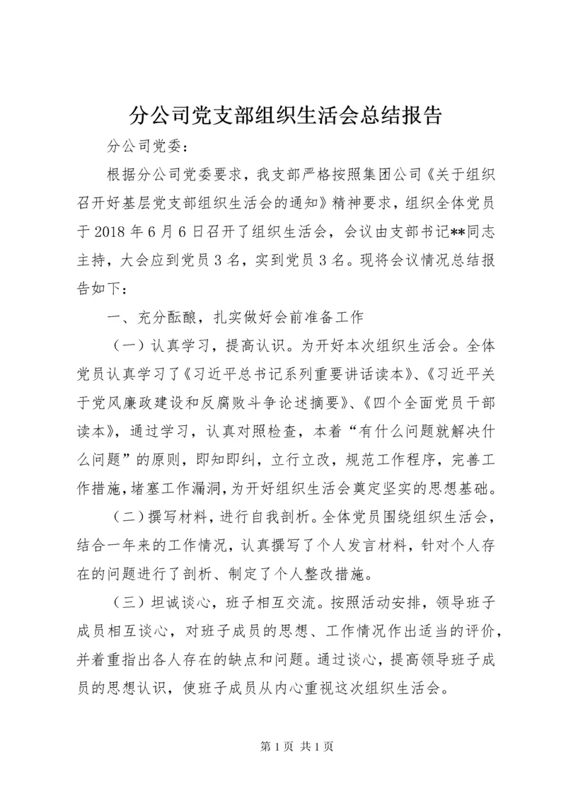 分公司党支部组织生活会总结报告.docx