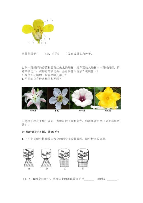教科版四年级下册科学第一单元《植物的生长变化》测试卷精编.docx