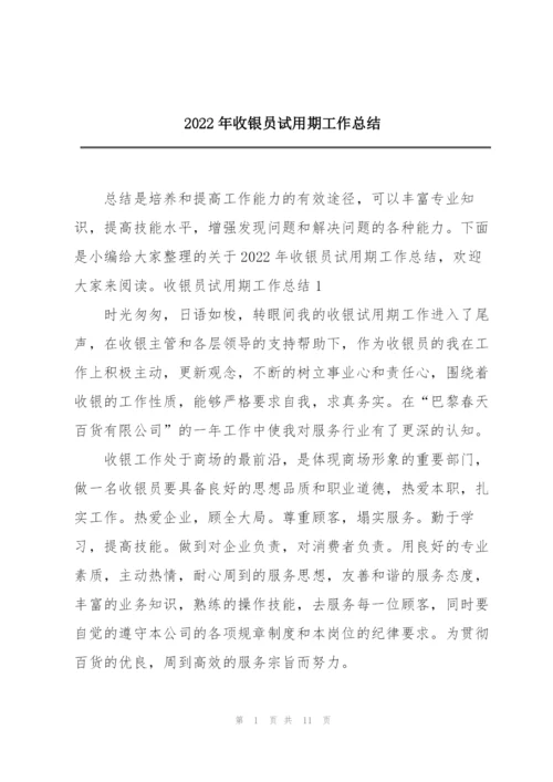 2022年收银员试用期工作总结.docx