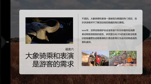 保护野生动物大象PPT模板