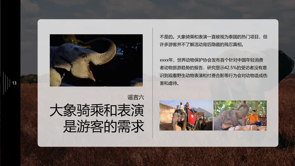保护野生动物大象PPT模板
