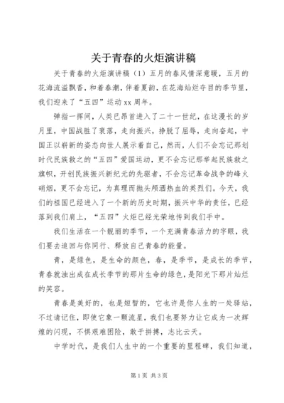 关于青春的火炬演讲稿.docx