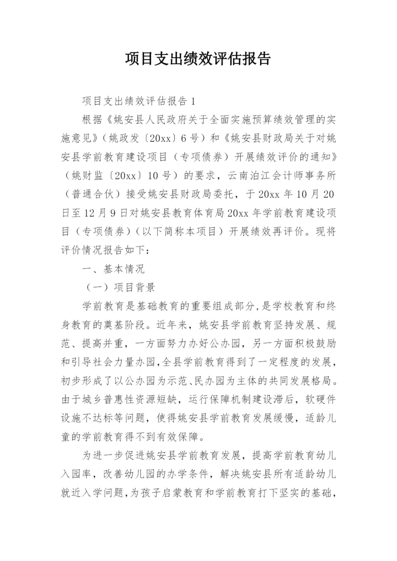 项目支出绩效评估报告.docx