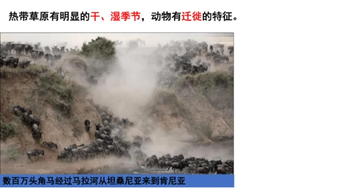 人文地理上册 3.4.1 逐水草而居 课件（共32张PPT）