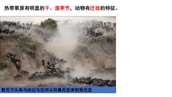 人文地理上册 3.4.1 逐水草而居 课件（共32张PPT）