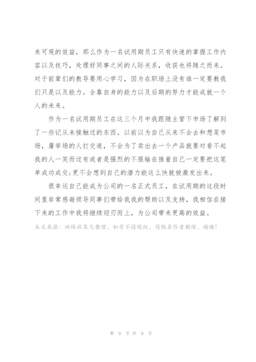 转正的述职报告怎么写.docx