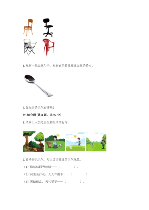 教科版二年级上册科学期末测试卷精品（必刷）.docx