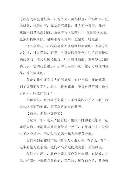 观菊花作文0.docx