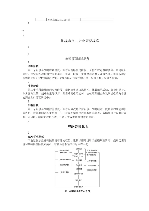 企业发展战略