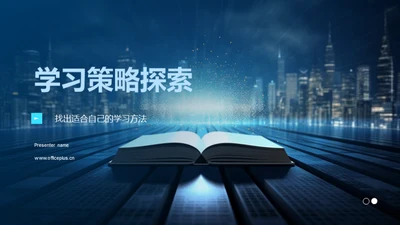 学习策略探索