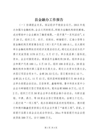 县金融办工作报告.docx