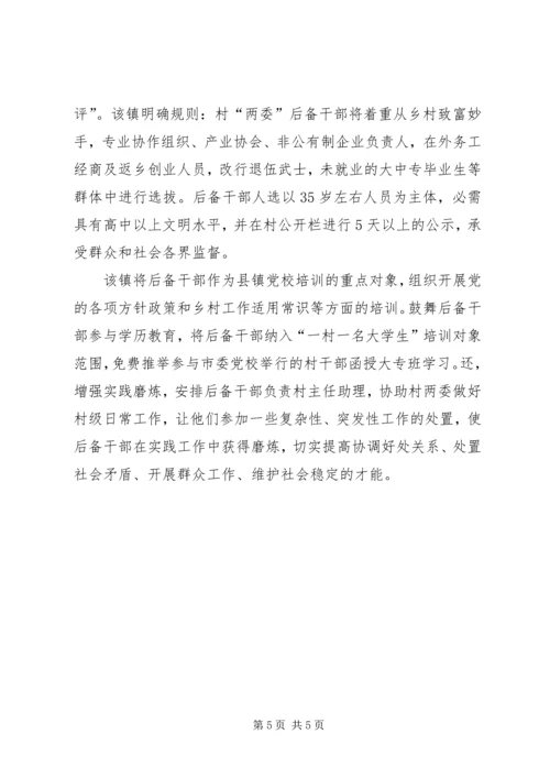 乡镇村级队伍建设工作汇报.docx