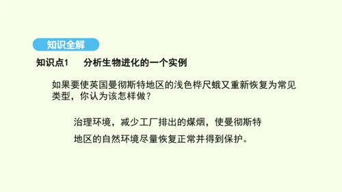 7.3.3生物进化的原因课件-人教版生物八年级下册(共37张PPT)