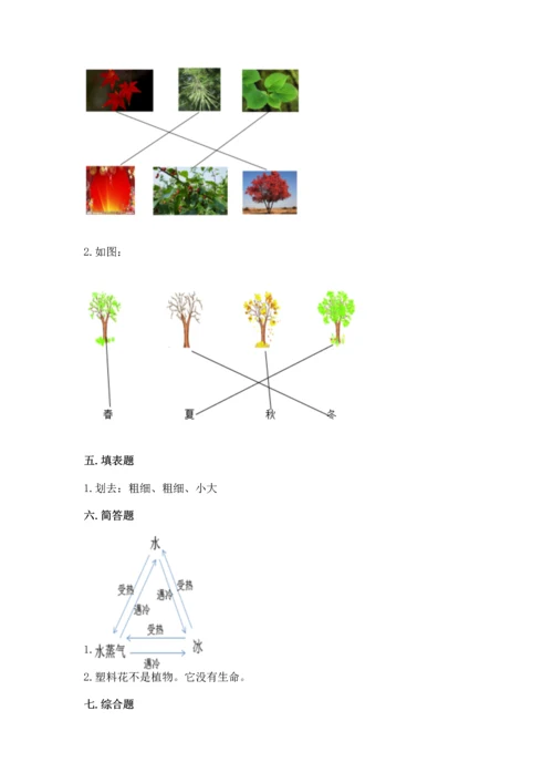 教科版科学一年级上册第一单元《植物》测试卷【轻巧夺冠】.docx